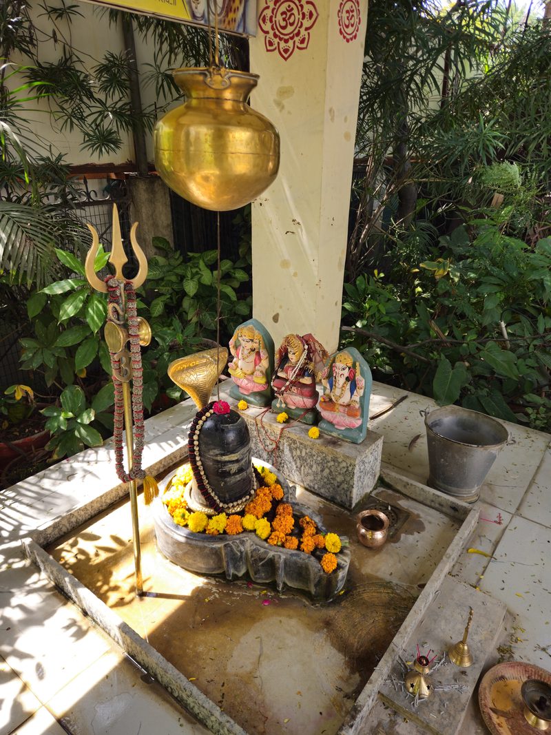 The Shivling of Sapneshwar Mahadev with trishul, kalash and marigold garlands